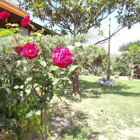 Hosteria Las Fuentes Rubayo Ngoại thất bức ảnh
